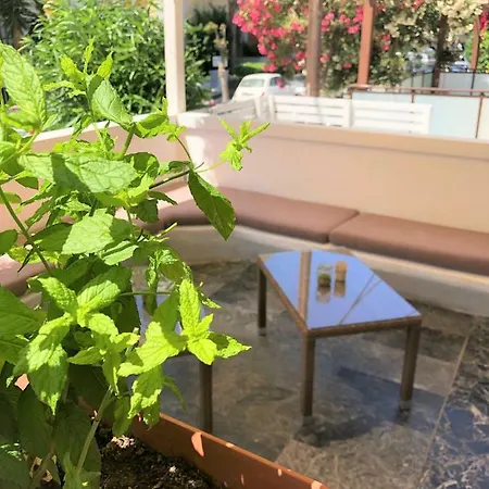 Mimosa Aparthotel 2*