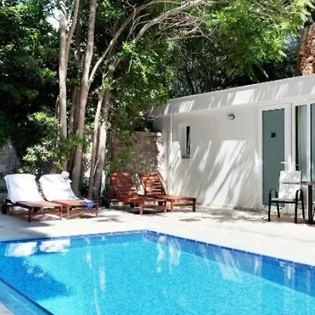 Appart hôtel Mimosa
