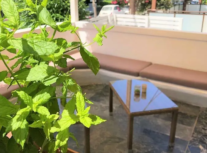 Mimosa Appart hôtel 2*